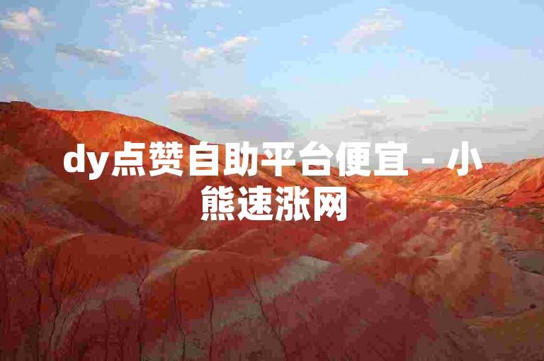 dy点赞自助平台便宜 - 小熊速涨网