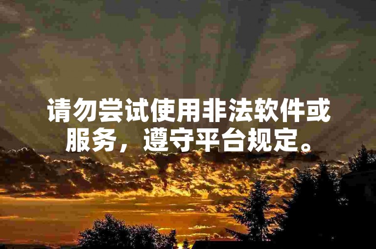 请勿尝试使用非法软件或服务，遵守平台规定。