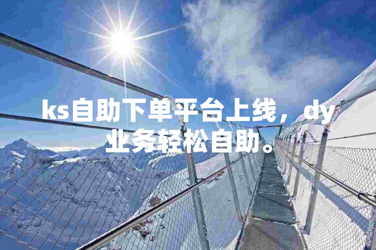 ks自助下单平台上线，dy业务轻松自助。