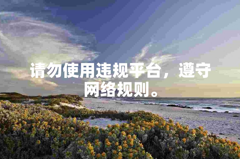 请勿使用违规平台，遵守网络规则。