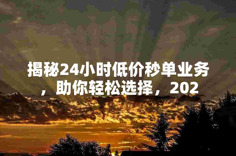揭秘24小时低价秒单业务，助你轻松选择，2025必备指南！