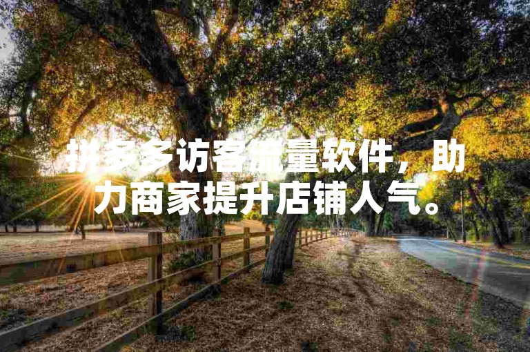 拼多多访客流量软件，助力商家提升店铺人气。