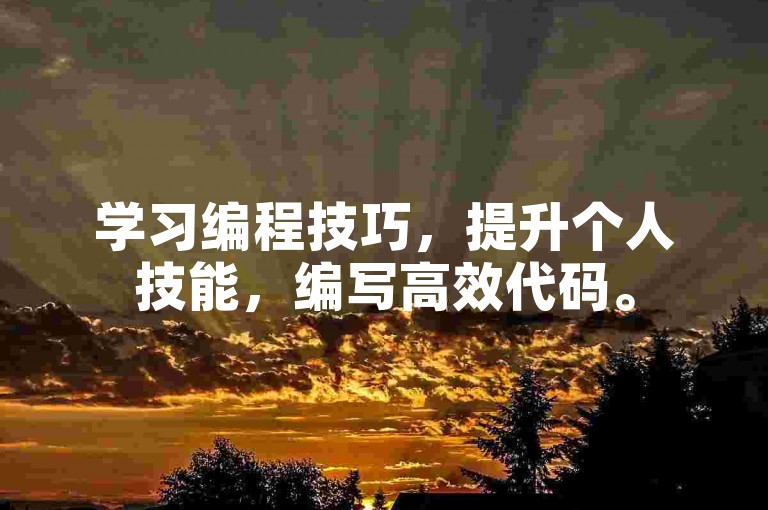 学习编程技巧，提升个人技能，编写高效代码。