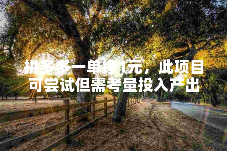 拼多多一单挣1元，此项目可尝试但需考量投入产出比。