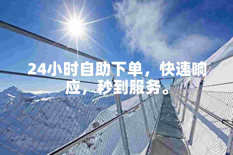 24小时自助下单，快速响应，秒到服务。