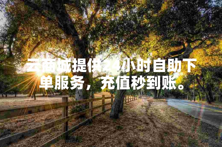 云商城提供24小时自助下单服务，充值秒到账。