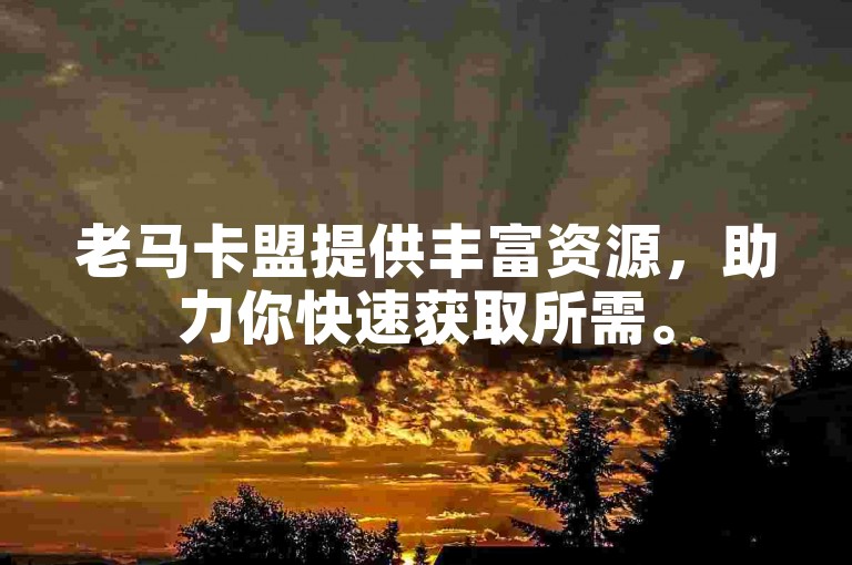 老马卡盟提供丰富资源，助力你快速获取所需。