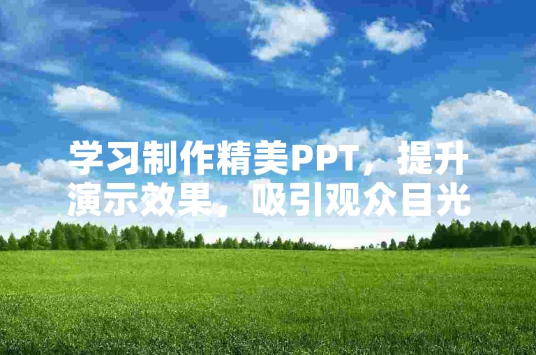 学习制作精美PPT，提升演示效果，吸引观众目光。