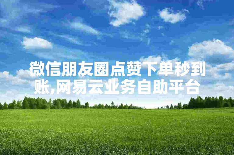 微信朋友圈点赞下单秒到账,网易云业务自助平台